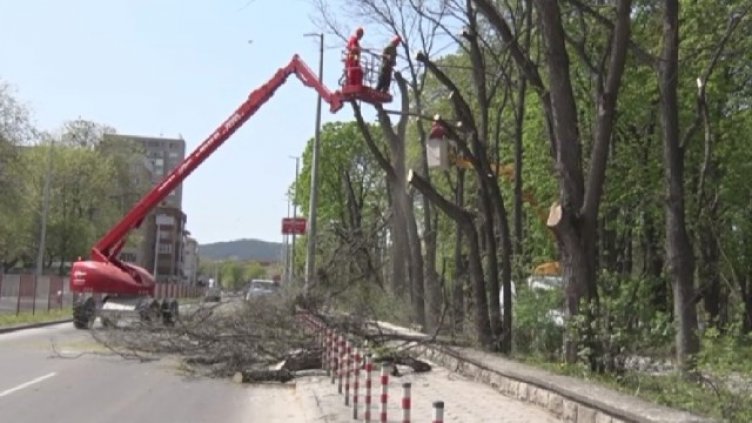 Снимката е илюстративна.
