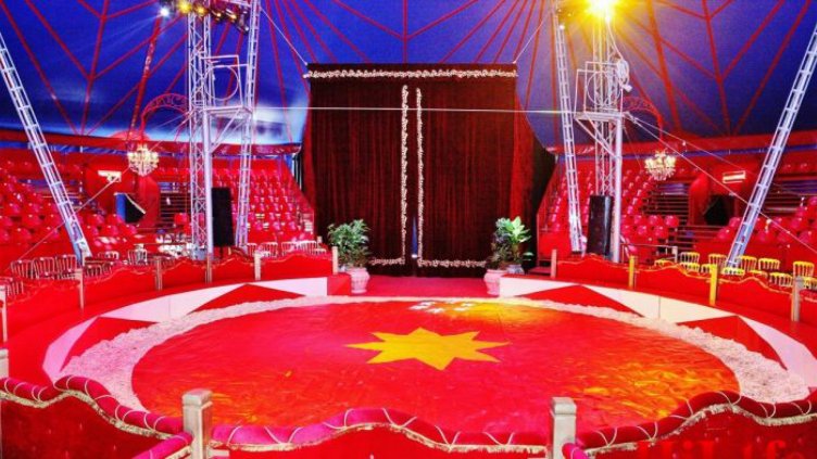 Акад. Балкански: Трябва да има закон за цирковото изкуство!