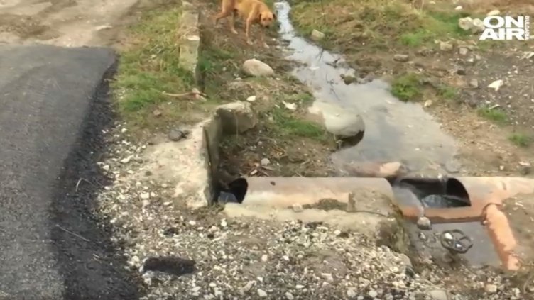 Берковска схема: Вместо на улицата, асфалтът е положен в частен имот!?