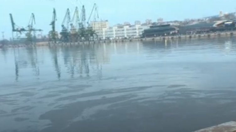 Странно петно изплава на Морска гара и притесни варненци