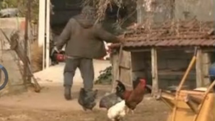 Какво са казали братята при разпита за убийството на границата. Вижте протоколите