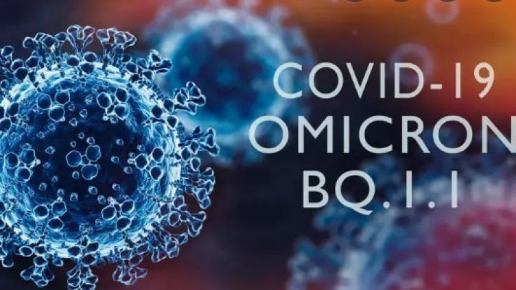 Щамът BQ.1 не е по-смъртоносен, но пък и не подминава. Кара се леко!