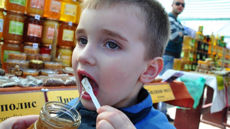 Нисък добив очакват пчеларите и през тази година