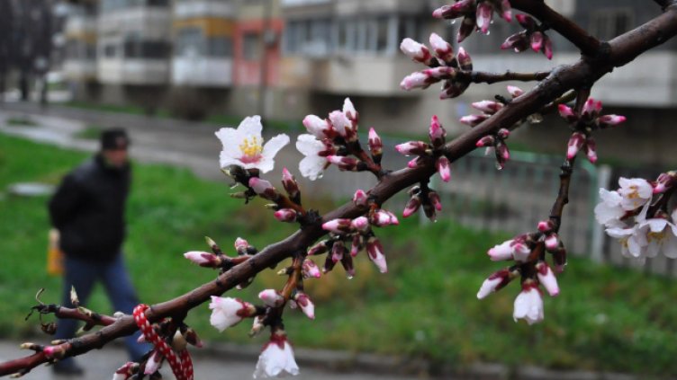 Снимка Пламен Гутинов, архив