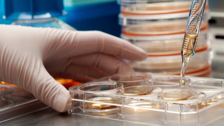 20 980 родители пазят стволови клетки от бебетата си