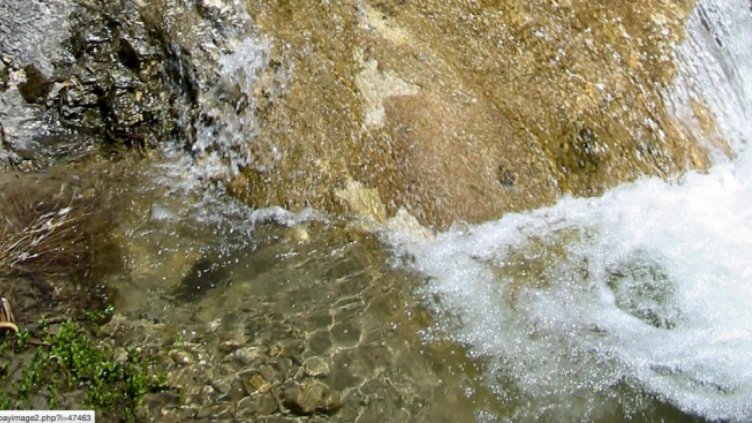 Спасители вадиха канадец от Боянската река