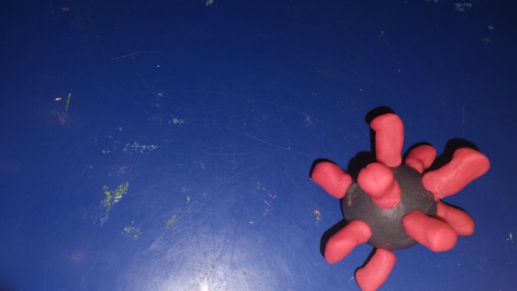 Варненско училище е носител на международната награда „ЗЕЛЕН ФЛАГ ЕКОУЧИЛИЩЕ“ ВЕЧЕ 20 години