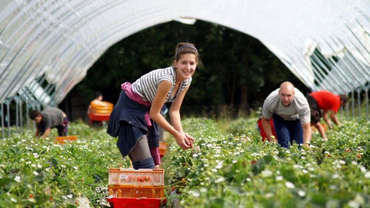 АЗПБ: Нужни са по-къси срокове за внос на работна ръка