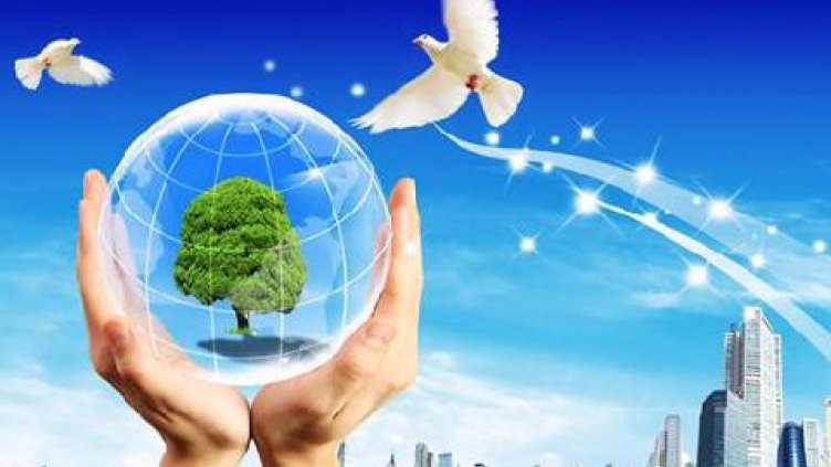 Отбелязваме Световния ден на  климата