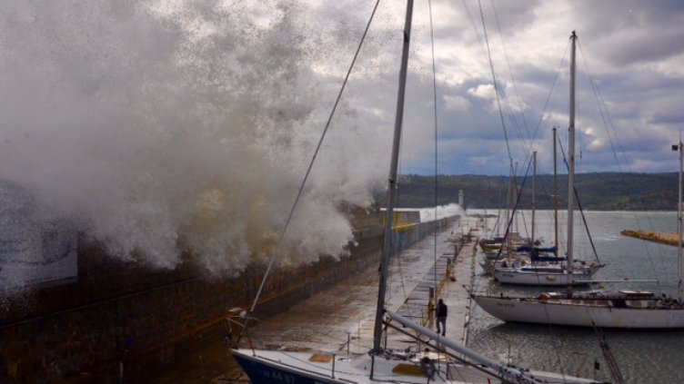 Снимка Пламен Гутинов