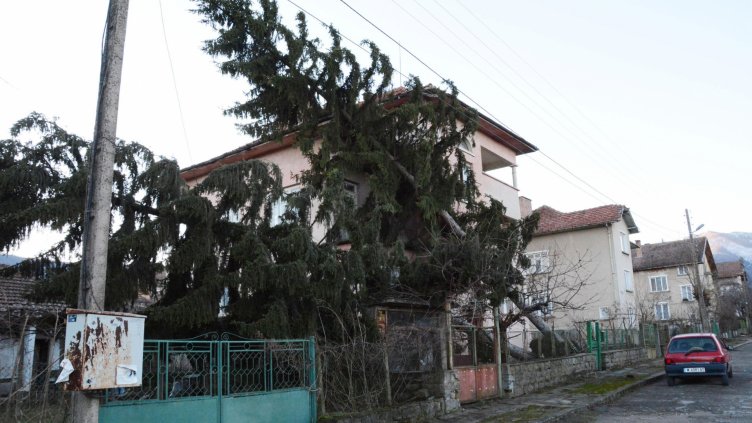 Възстановиха електрозахранването в още 12 селища, пострадали от бурята