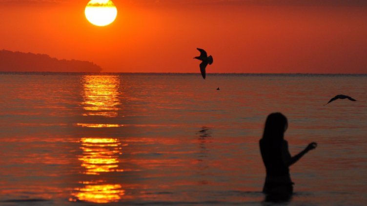 Снимка Пламен Гутинов