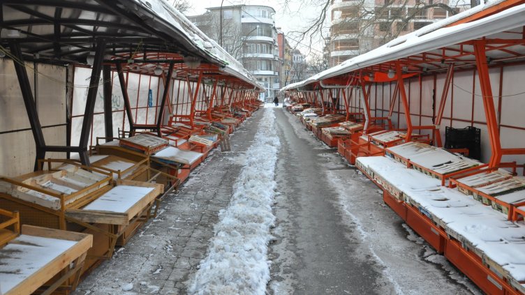 Снимка Пламен Гутинов