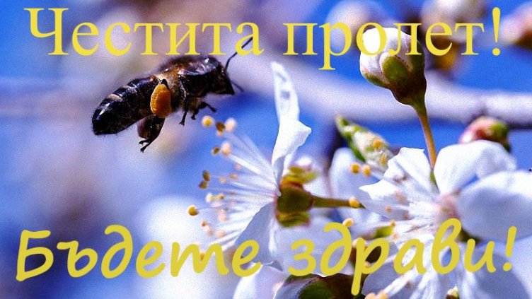 Честита първа пролет!