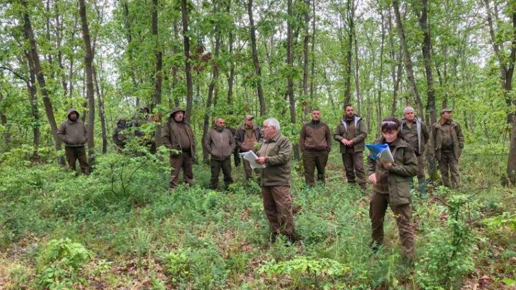 Започва инвентаризация на горите край Провадия