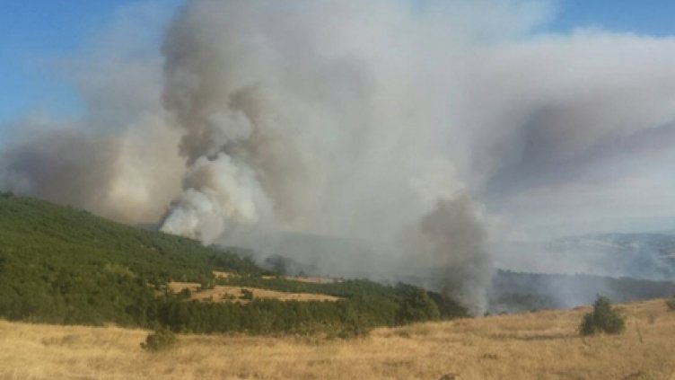 Близо 200 декара с пшеница изгоряха