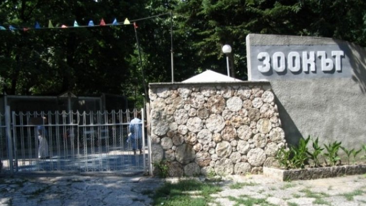 Скоро няма да има ремонт на зоопарка във Варна 