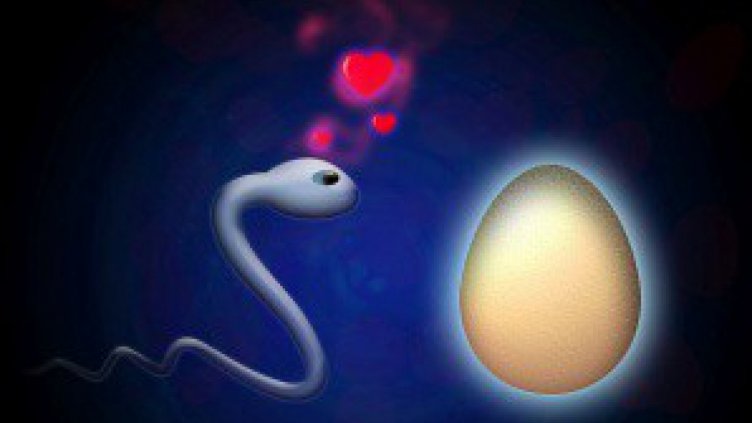 Контрацептив за мъже не позволява на семенната течност да плува