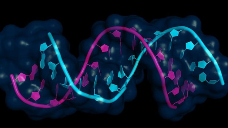 Наночастиците в РНК-ваксините притесняват учени и лаици