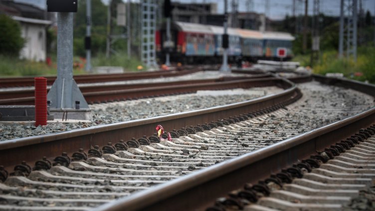 Снимка: Димитър Кьосемарлиев, Dnes.bg