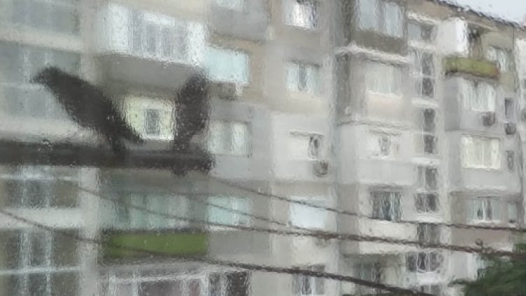 Обявиха жълт код във Варна за Велики вторник