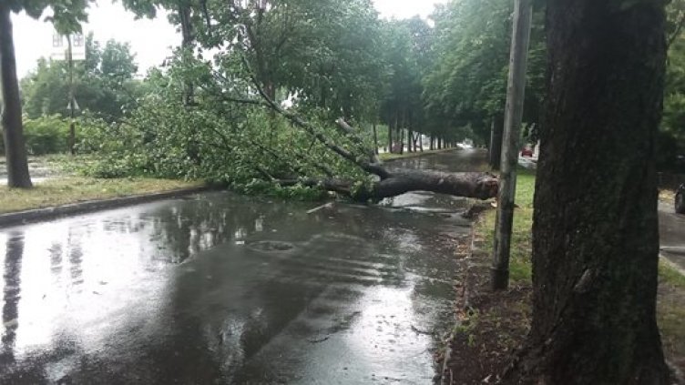 Порои наводниха Козлодуй и Кюстендил