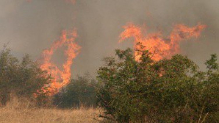 Горяха сухи треви край Пловдив
