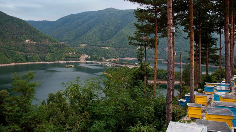 снимка: Ели Маринова