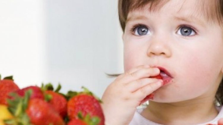 В забавачките и училищата - само свежи български храни