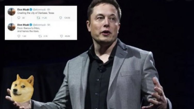 Мъск строи град за кучета, ще го управлява додж