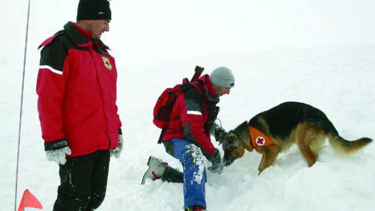 Издирват 3 момчета, загубили се в планината