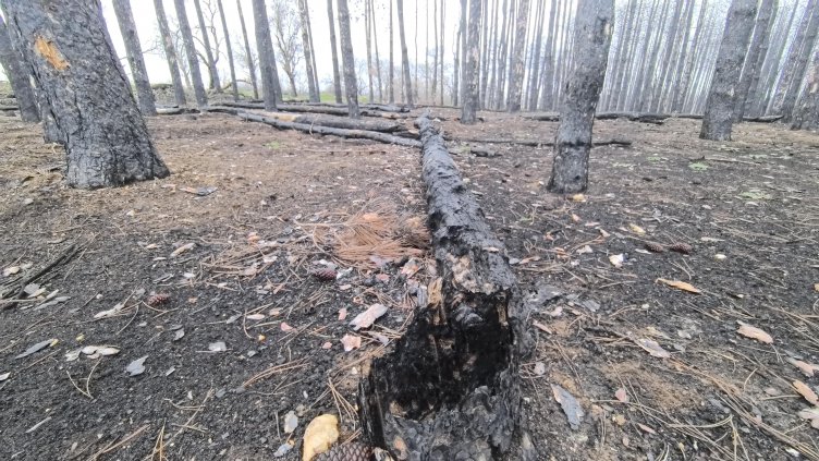 Добри са условията за туризъм в планините