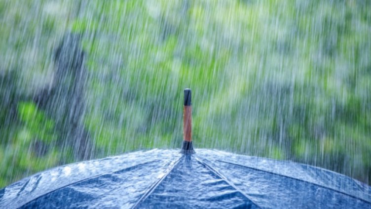 Не оставяйте чадъра, облачно и дъждовно ще е