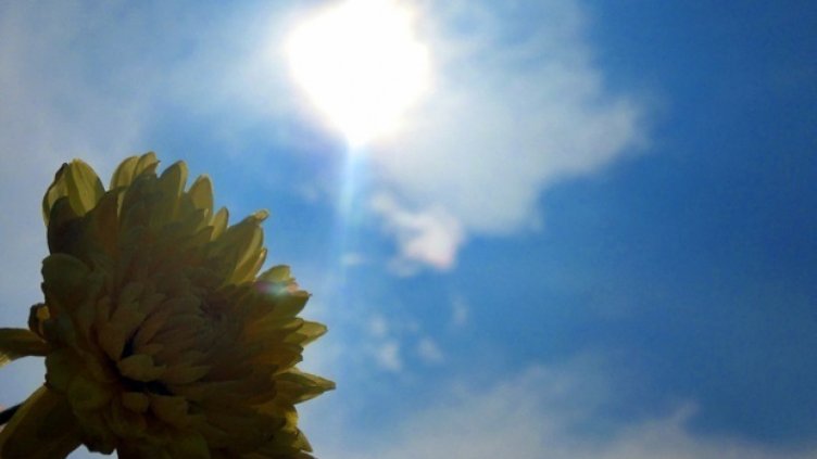 До 31 градуса днес