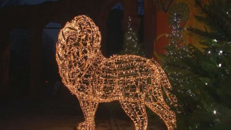 Зоопарк избра нестандартен начин да зарадва посетителите си за Коледа