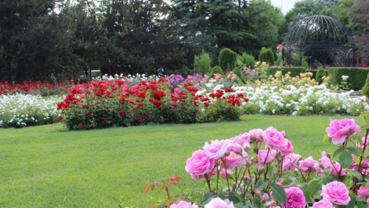 Казусът с Ботаническата градина във Варна трябва да се реши в съда