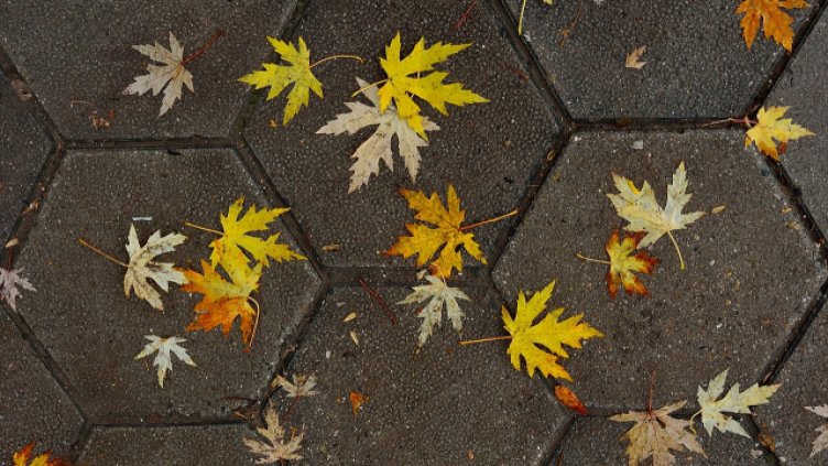 Прогноза за времето за 21.09.2016 г.