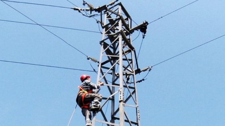 Енергото подготви мрежата в Североизточна България за работа през есенно-зимния период