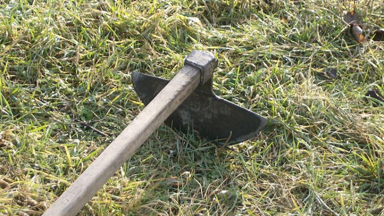 Виц на деня - 29 ноември