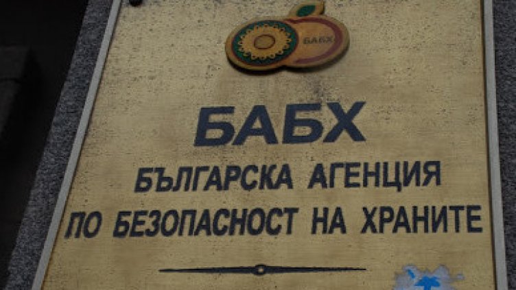 Птичият грип настъпва! БАБХ зове: Внимавайте за умрели пернати в природата