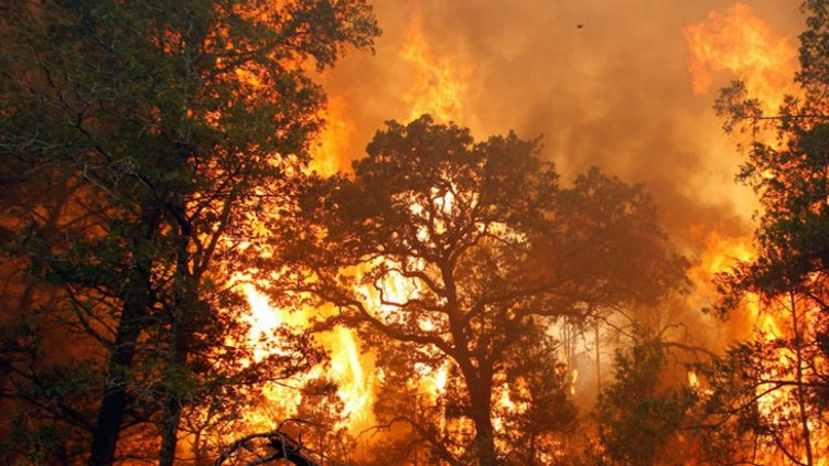 Потушиха пожара край Харманли