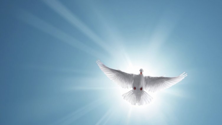 Отбелязваме Световния ден на мирa