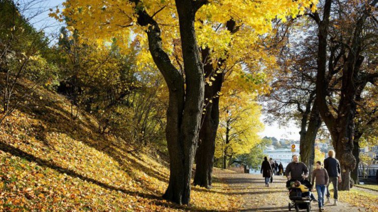 Температурите се покачват още