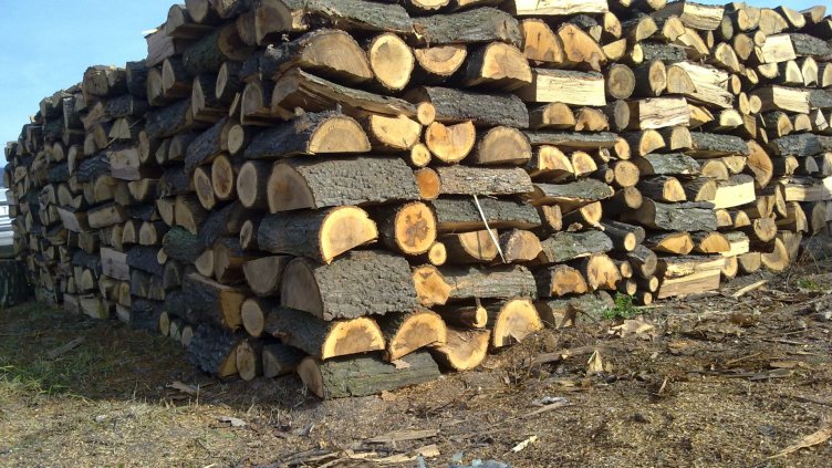 Данъчни погват търговци на дърва за огрев  