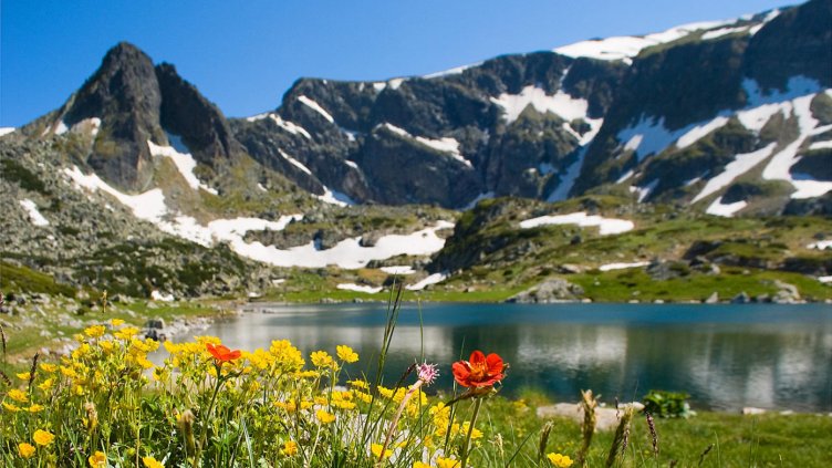 325 сираци отиват на море или планина