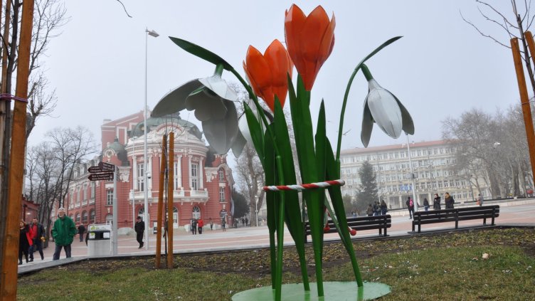 Снимка Пламен Гутинов