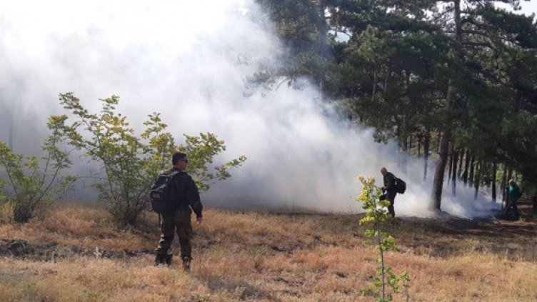Огромен пожар гори във вилна зона край Варна