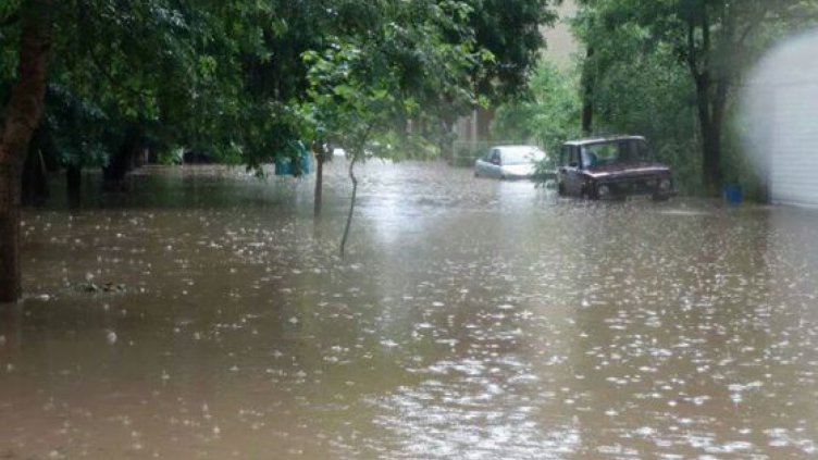 Снимката е илюстративна