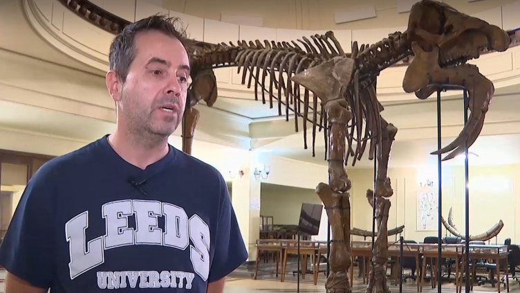 Откриха череп на динозавър в района на Стара планина