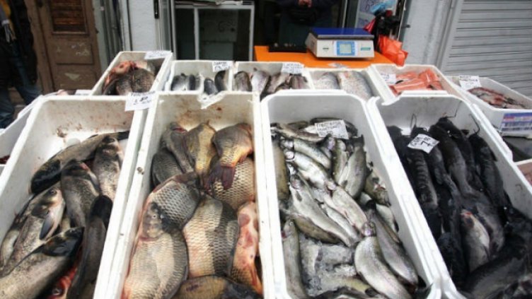  НАП - Варна състави 15 акта на търговци на риба